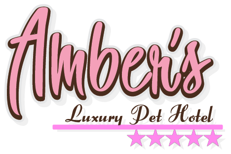 Amber's Luxury Pet Hotel & Spa Corona, Ca.